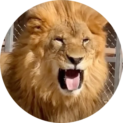 Lion avatar